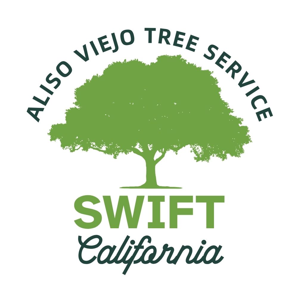 Swift Aliso Viejo Tree Service